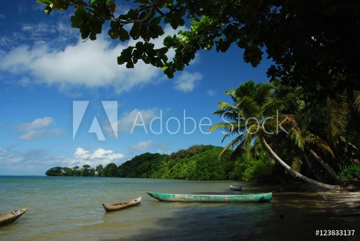 Picture of Plage des tropiques